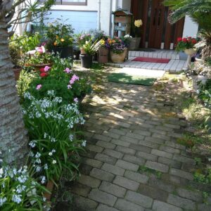 施設の庭園。花壇の草花と敷石の小道が配置された親しみやすい外構空間